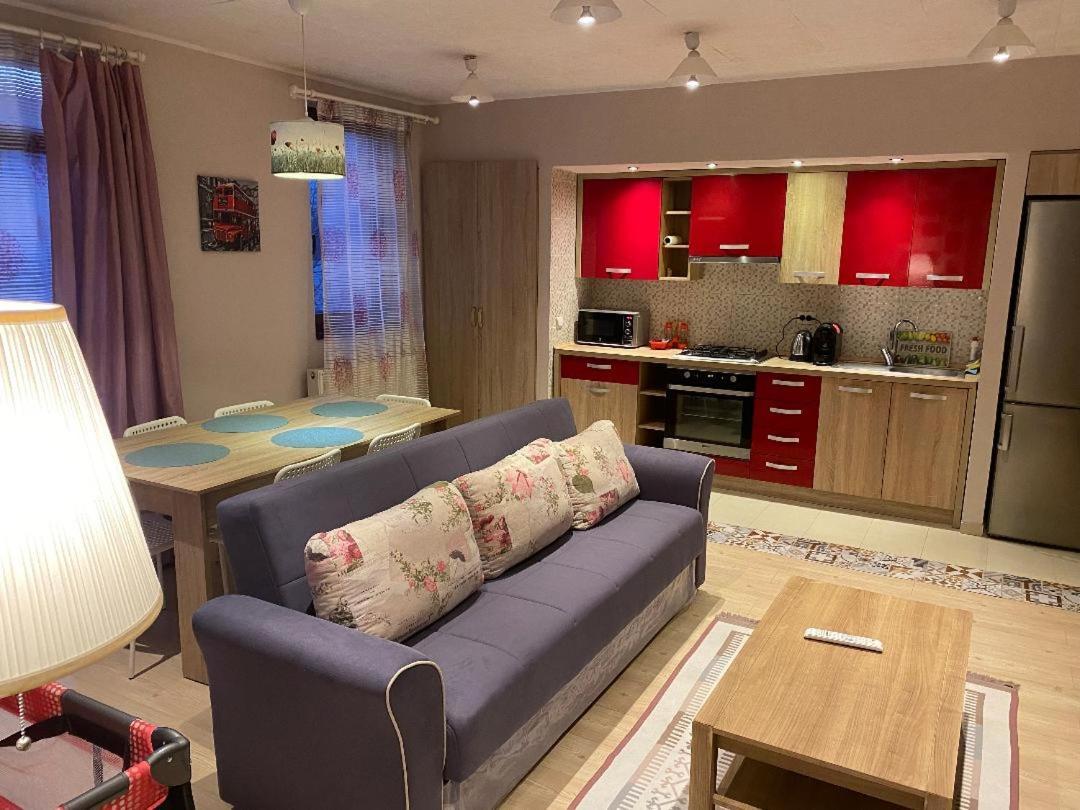 Igi Red Flat With Free Private Parking Apartment Cluj-Napoca Ngoại thất bức ảnh